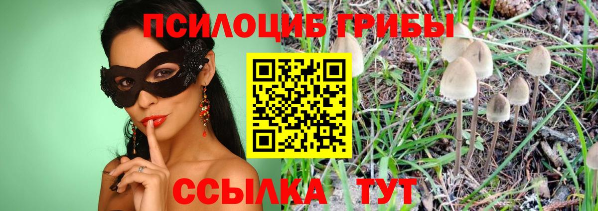 Белореченск  Галлюциногенные грибы Magic Shrooms  Вход с VPN 